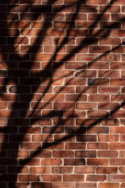 Part of a brick wall with shadows