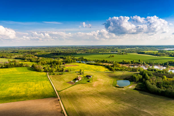 vue aérienne de la campagne lettone par une belle journée de printemps - lettonie photos et images de collection