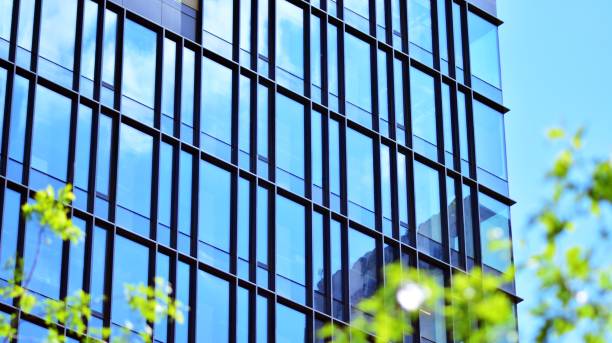 istock Eco architecture. Green tree and glass office building. 1336997327