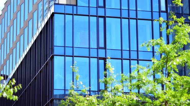istock Eco architecture. Green tree and glass office building. 1336997396