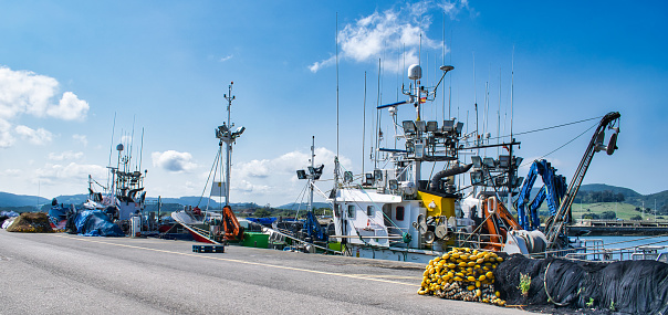 Een vissersboot ligt aangemeerd in de haven van Whitianga. Op de achtergrond de baai en het bergachtige achterland van Whitianga.