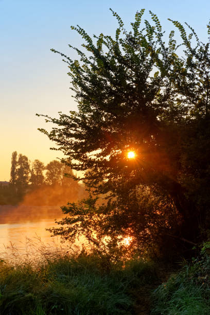 istock Sunrise in the Loire river bank 1337004295