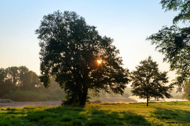 istock Sunrise in the Loire river bank 1337004469