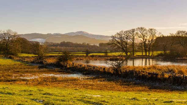 il fiume dee in inverno a threave estate con una collina bengairn innevata sullo sfondo, dumfries e galloway, scozia - dumfries and galloway foto e immagini stock