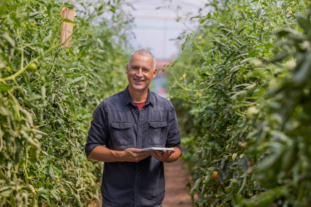 istock It's the future of farming 1337013766