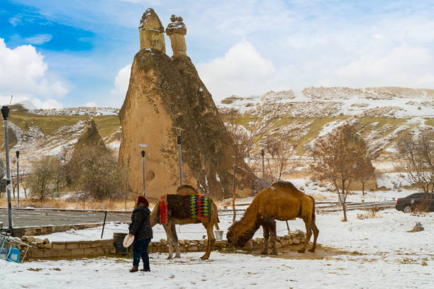 Breathtaking view of Valley in the winter season, Cappadocia national park, TurkeyCamel Cappadocia, Turkey. Entertainment and leisure. This is a traditional activity; camel riding.