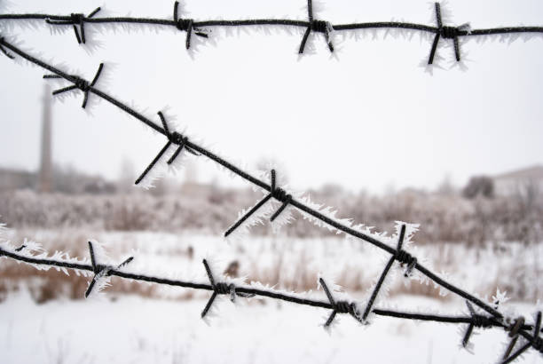 cerca de alambre de púas cubierta de escarcha en invierno alrededor del área cerrada - winter wire barbed wire protection fotografías e imágenes de stock