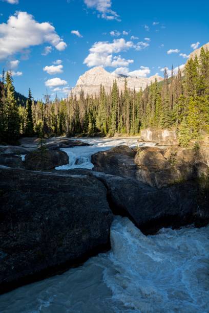 istock Natural Bridge in Yoho National Park, BC, Canada 1337021188