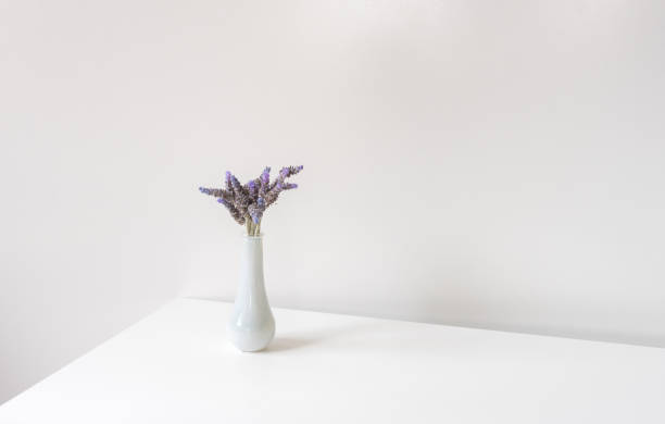 kleine weiße vase mit lavendel im regal - minimalistisches naturkonzept - cut flowers white small still life stock-fotos und bilder
