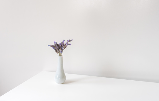 Close up of small white vase with lavender on shelf with copy space - minimalist nature concept (selective focus)