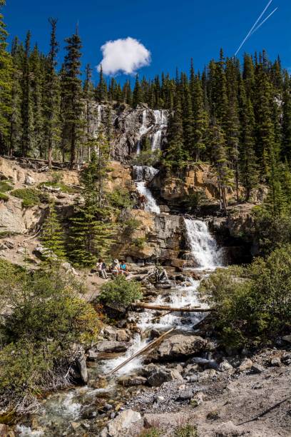 beautiful cascading waterfall. tangle creek waterfalls in jasper national park, alberta, canada - tangle falls imagens e fotografias de stock