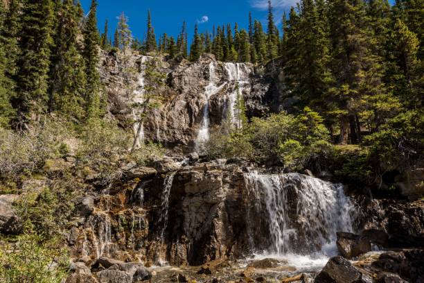 linda cachoeira em cascata. cachoeiras de tangle creek no parque nacional jasper, alberta, canadá - tangle falls - fotografias e filmes do acervo