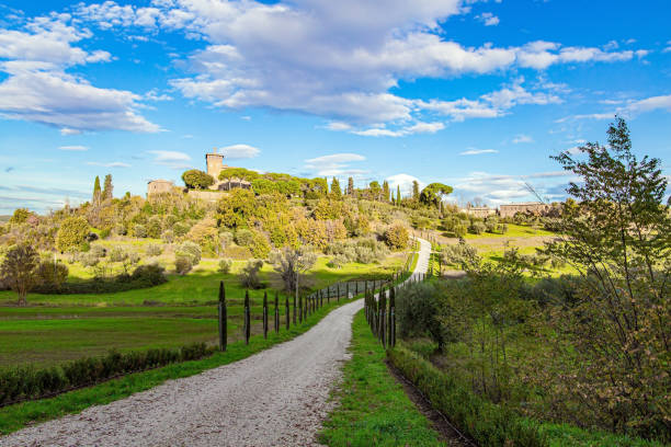 początek zimy - siena province tuscany italy fog zdjęcia i obrazy z banku zdjęć