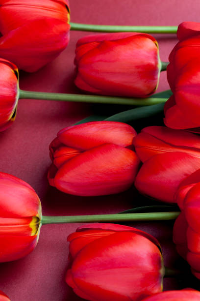 istock red tulips with bright petals in a bouquet 1337028191