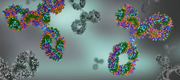 Multicolored antibodies or immunoglobulin protein structures - 3d illustration