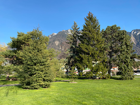 Parks and green promenades in early spring along the east shore of Lake Geneva (lac de Genève, lac Léman or Genfersee) - Canton of Vaud, Switzerland (Suisse)