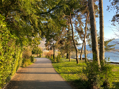 Parks and green promenades in early spring along the east shore of Lake Geneva (lac de Genève, lac Léman or Genfersee) - Canton of Vaud, Switzerland (Suisse)