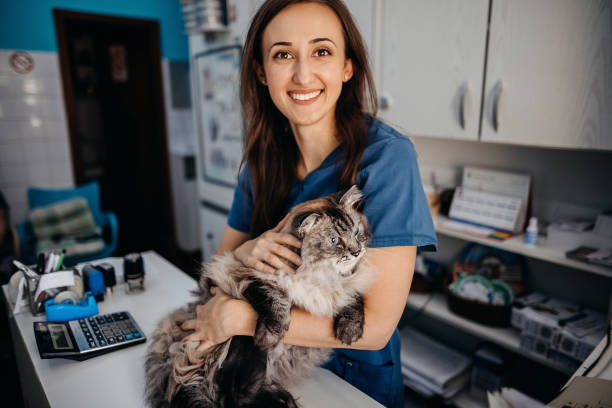 istock I love my job 1337031325