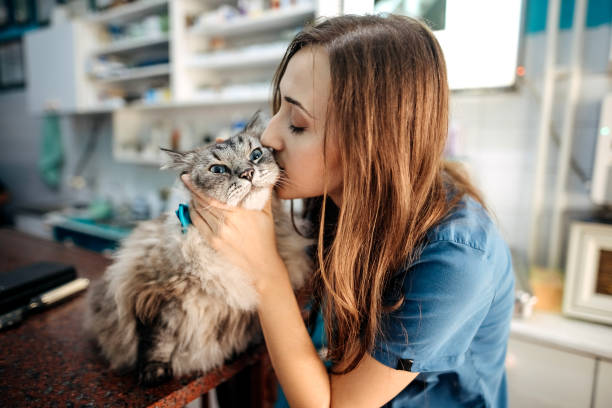 istock I love my job 1337031940