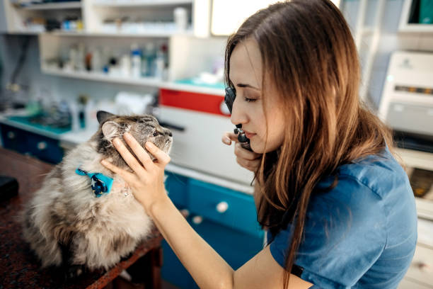 istock I love my job 1337031946