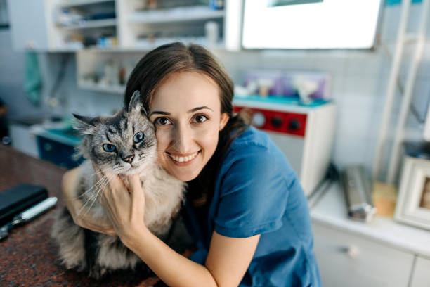 istock I love my job 1337031950