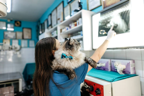 At the veterinarian