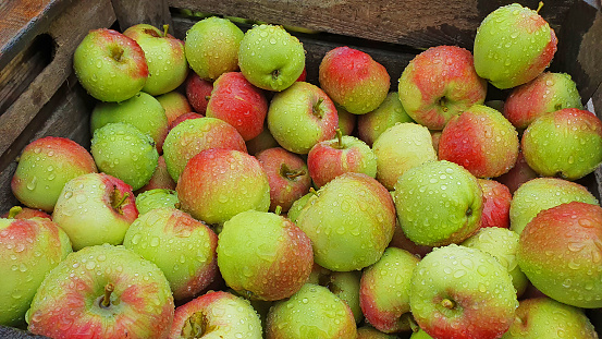 A wooden basket with green and red fresh apples on a farmers market