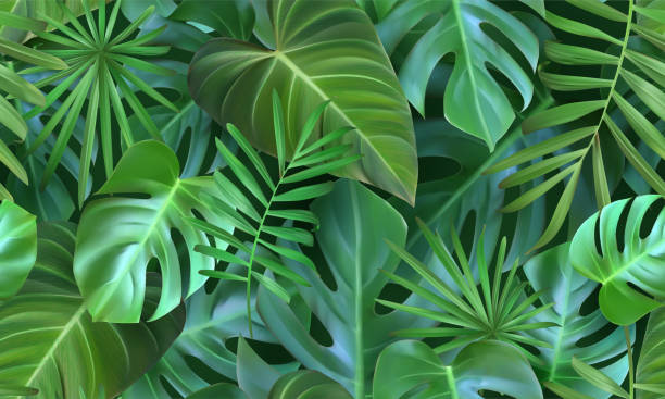 Jungle Leaves Illustrations, Royalty-Free Vector Graphics & Clip Art -  iStock