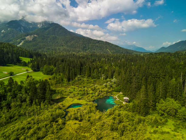 Nature Landscape in Slovenia, Julian Alps and Zelenci Springs stock photo