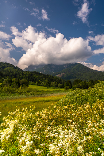 Julian Alps in Triglav National Park in Slovenia Seen From Kranjska Gora Region.
