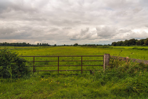 istock Closed iron gate in front of a peat meadow area 1337036218
