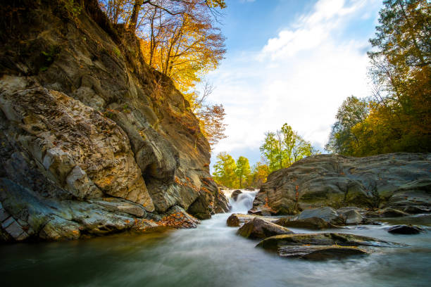 istock Mountain river with small waterfall with clear turquoise water falling down between wet boulders with thick white foam on autumn bright day. 1337037230