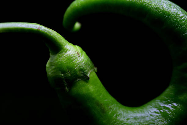 close-up green pepper  on a black background