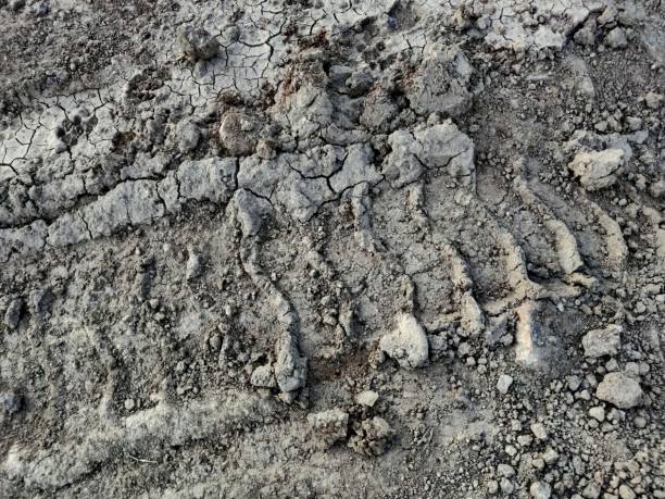 A big tyre impression on the earth surface