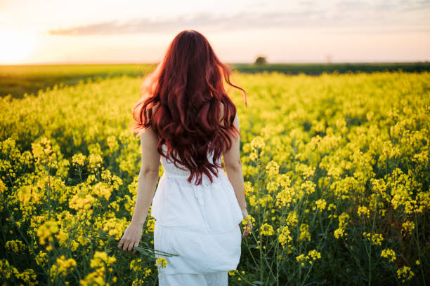 Free Stock Photo of Woman With Long Hair Standing in a Field | Download ...