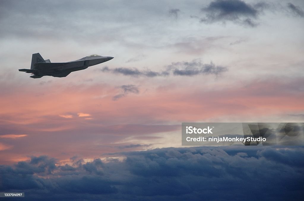 Avião de Combate - Royalty-free Advanced Tactical Fighter Foto de stock