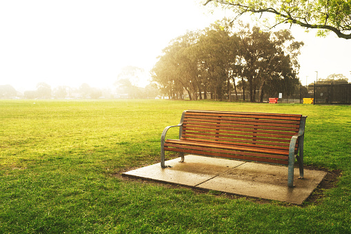 Wooden bench on beautiful public park on rainy day