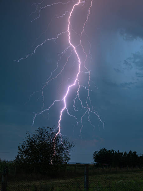 fulmine ramificato che colpisce proprio dietro un albero - high voltage sign flash foto e immagini stock