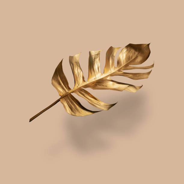 istock Golden tropical palm leaf Monstera on pastel luxury yellow-gray . Abstract pattern for design and space for text 1337052319