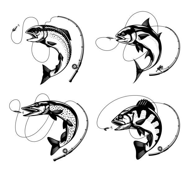 ilustraciones, imágenes clip art, dibujos animados e iconos de stock de ilustraciones de pesca con peces saltadores y cañas - anzuelo de pesca ilustraciones