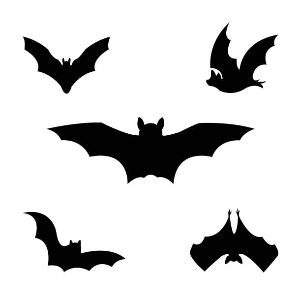 illustrations, cliparts, dessins animés et icônes de illustration d’images clipart de chauves-souris d’halloween isolée sur fond blanc. peut être placé sur votre design ou costume - bat halloween silhouette wing