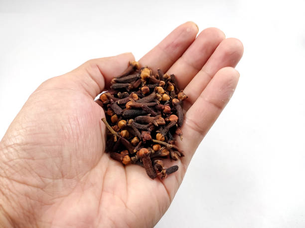istock hands holding dried cloves 1337057286