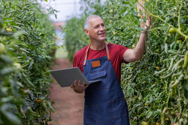 istock This farm is his pride and joy 1337059200
