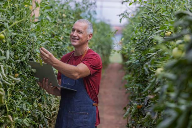 istock He's an expert when it comes to farming 1337059203