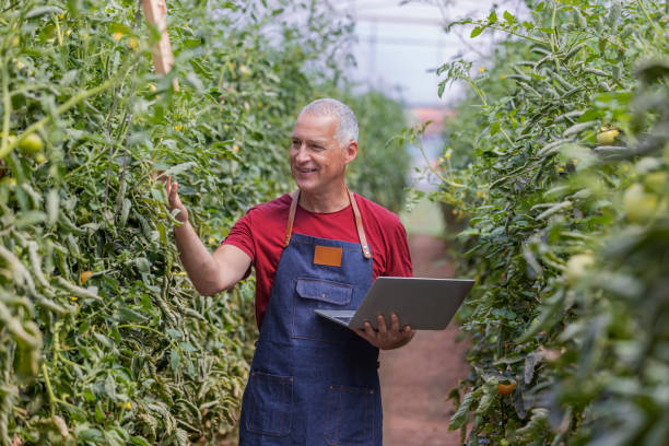 istock Running his farm the best way he knows how 1337059238
