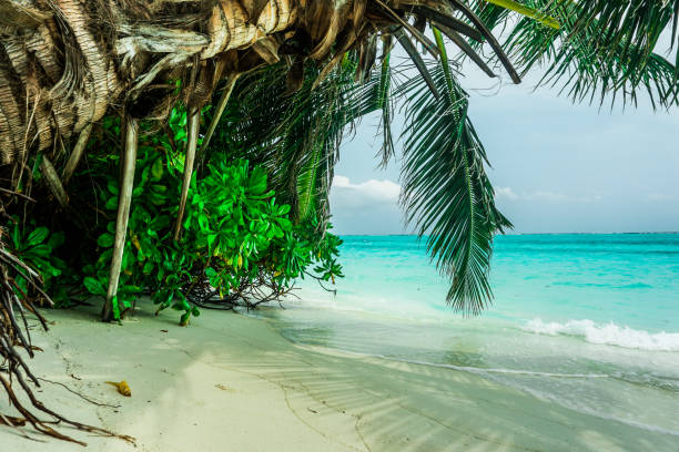 istock Sea view from tropical beach with blue sky. 1337063920
