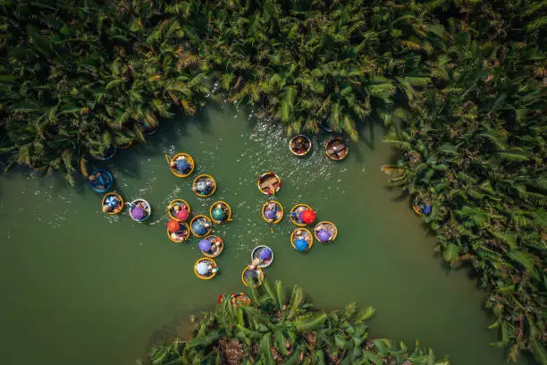 Drone view Basket boat tour view in Bay Mau nipa palm jungle, Hoi An, Quang Nam province, central Vietnam