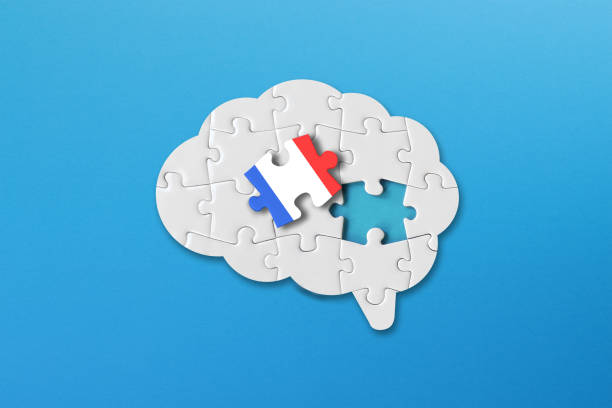 istock French learning concept, white jigsaw puzzle pieces with french flag a human brain shape on blue background 1337067278
