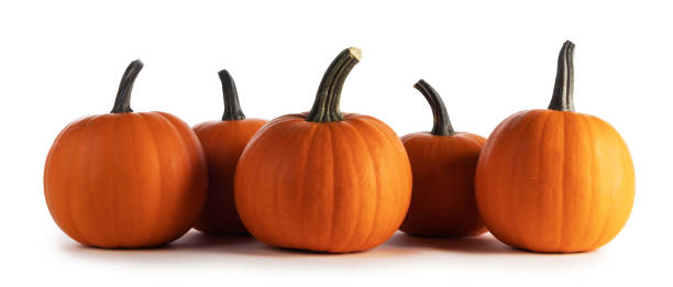 istock Orange pumpkins isolated on white 1337070150