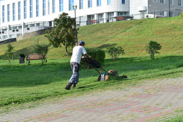 Tambov. Russia. 8/18/2021: A worker in a city park uses a mechanical mower to mow green grass in a park.